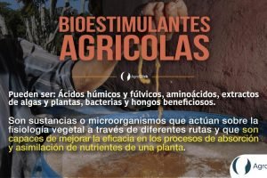 bioestimulantes,agroclick