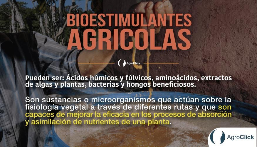 bioestimulantes,agroclick