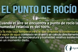 punto de rocio