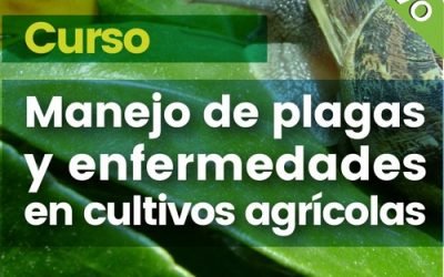 Curso:  Manejo integrado de plagas y enfermedades en cultivos agrícolas