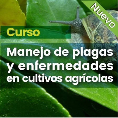Curso:  Manejo integrado de plagas y enfermedades en cultivos agrícolas