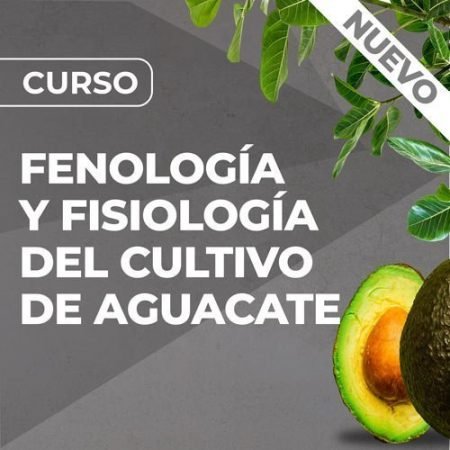 Curso de Fenología y Fisiología del Cultivo de Aguacate