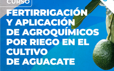 Curso Fertirrigacion y Aplicacion de Agroquimicos por riego en el cultivo de Aguacate