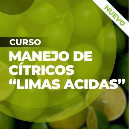Curso Manejo de Citricos Limas Acidas