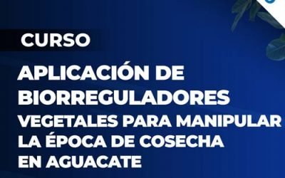 Curso Aplicacion de Biorreguladores Vegetales para manipular la epoca de cosecha en Aguacate
