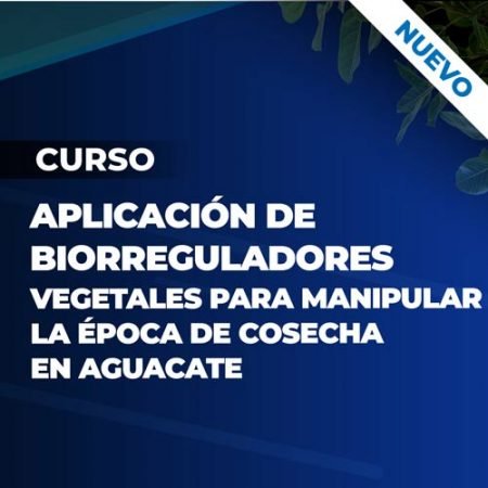 Curso Aplicacion de Biorreguladores Vegetales para manipular la epoca de cosecha en Aguacate