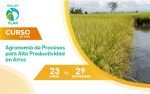 Curso Agronomía de Procesos para Alta Productividad en Arroz V2