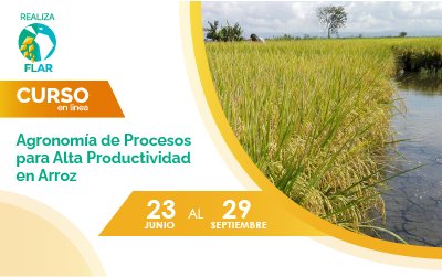 Curso Agronomía de Procesos para Alta Productividad en Arroz V2