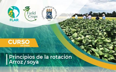 Curso: Principios de la rotación Arroz/Soya